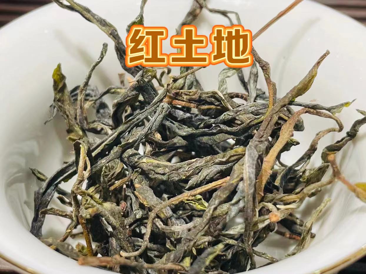 Red Earth Ancient Tree Raw Pu-erh Tea 