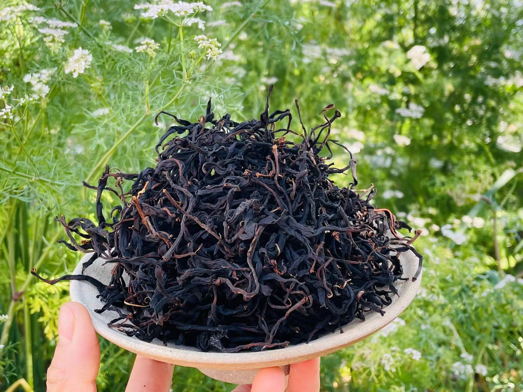 Yunnan Wild Arbor Black Tea