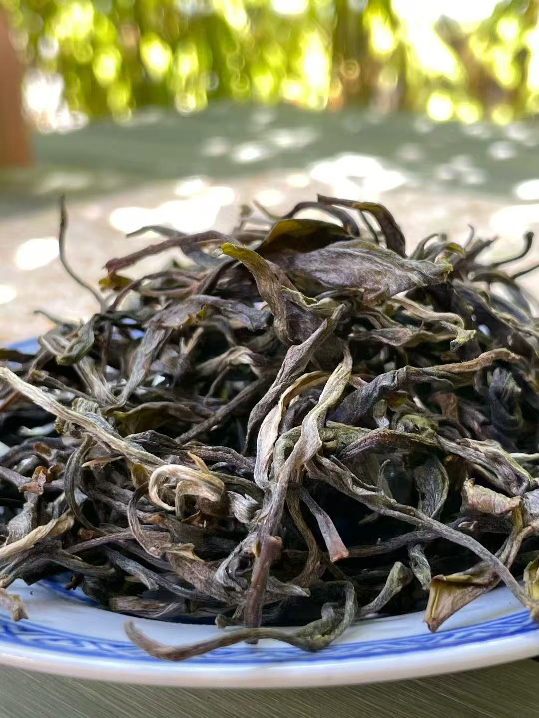Yunnan Single Tree Raw Pu-erh Tea