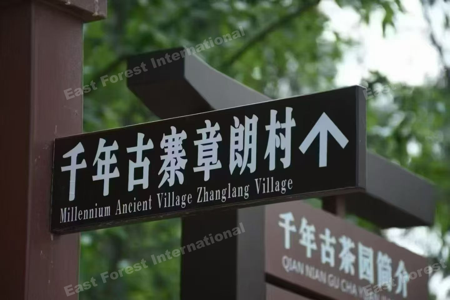 Beyond the Price Tag: Why Traceability is the Next Currency in Global Tea Trade 